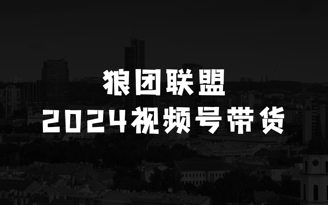 狼团联盟2024视频号带货，0基础小白快速入局视频号 - 商业财富课程