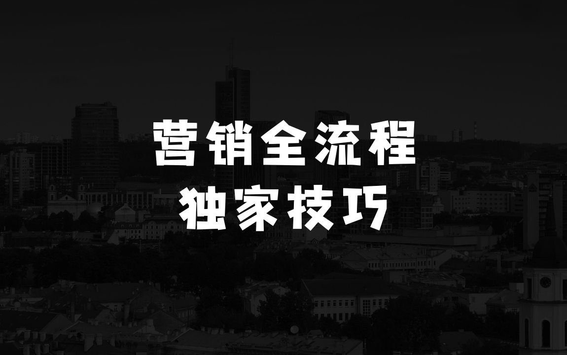 女人做什么生意挣钱独立站营销全流程，GoogleSEO优化，社媒站外引流，独家营销技巧 - 商业财富课程