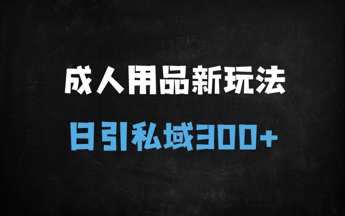﻿成人用品日引300+私域秘籍：文字视频+图文双玩法，安全导流高转化实战指南 - 商业财富课程