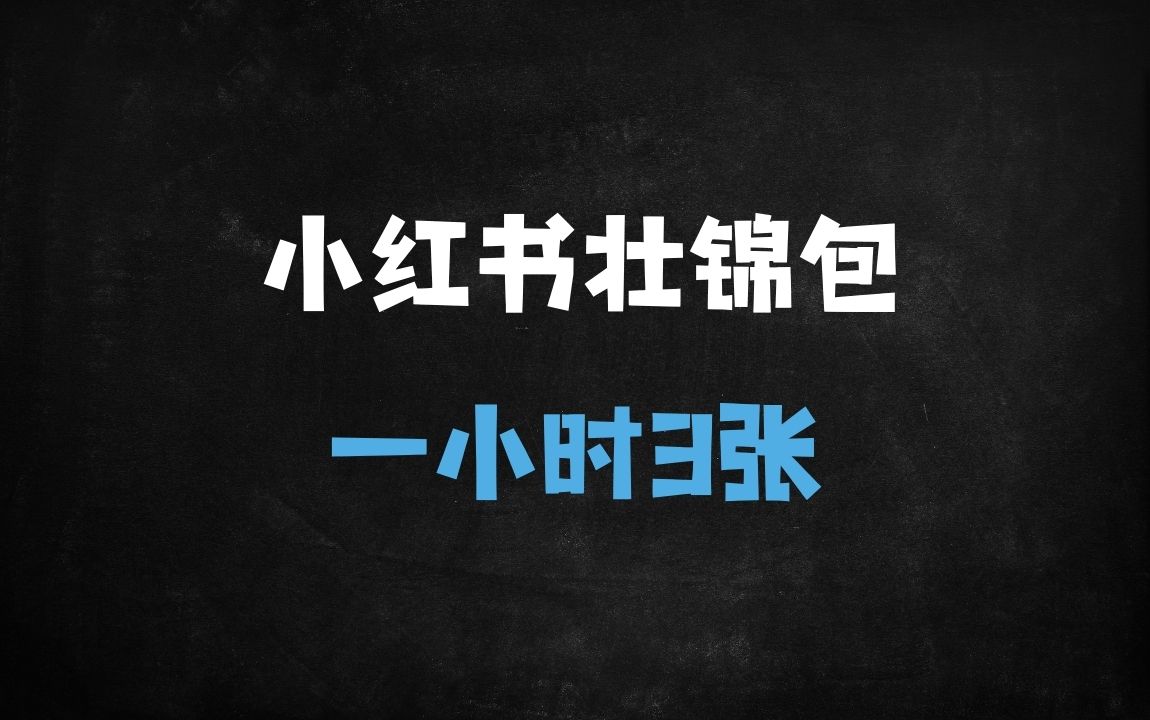 ﻿小红书蓝海赛道3.0：非遗壮锦包轻奢私域变现，1小时3单高客单价成交，保姆级教学 - 商业财富课程