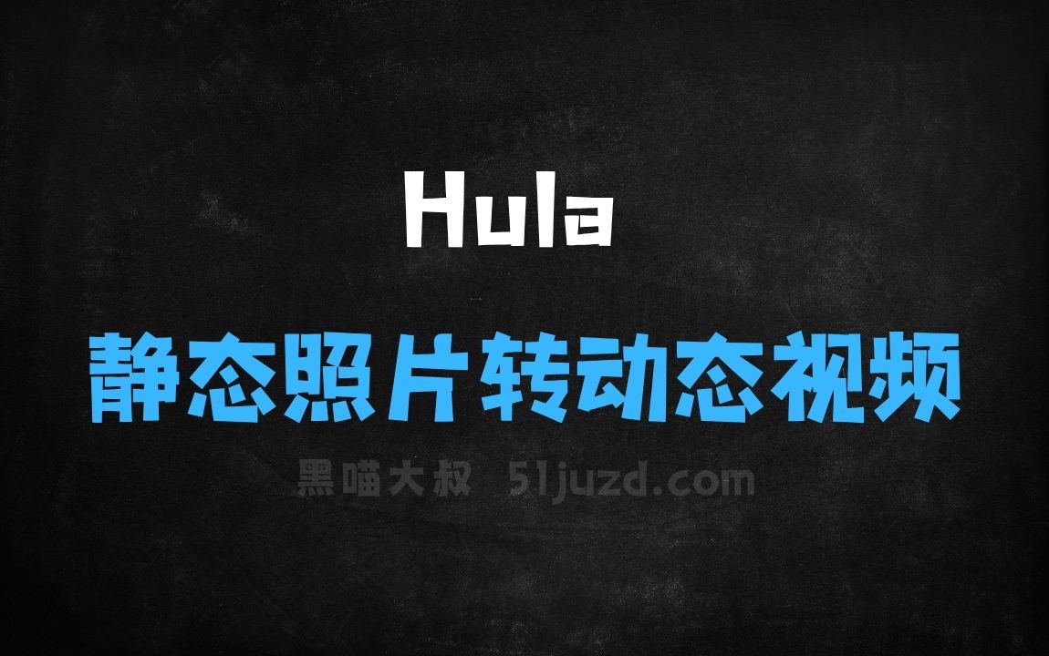 ﻿Hula–AI视频生成工具，可将静态照片转换为动态视频 - AI视频工具