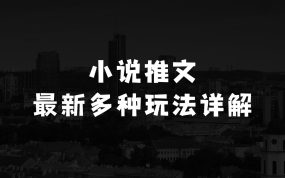 小说推文最新多种玩法详解，实况文案玩法，搬运玩法，双图片+文案玩法等