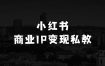 小本生意怎么做：小红书商业IP变现私教，手把手教会你从0-1制作短视频到变现的全过程