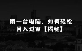 蓝海小本生意：揭秘如何在6亿群体蓝海市场，零经验小白用一台电脑轻松月入过W