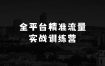 如何通过全平台精准流量实战训练营获得小本生意成功：全平台精准流量实战训练营，百度微信抖音小红书SEO引流教程