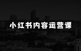 怎么做小本生意：红薯教练-小红书内容运营课，小红书运营学习终点站