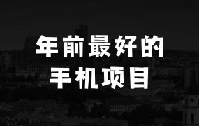小本生意：年前最好的手机项目，不用一分钟，单机操作，日入2张【揭秘】