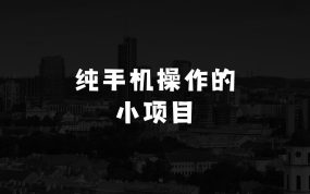 小本生意：揭秘纯手机操作的小项目，只需7天收入2609+