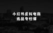 小本生意怎么做：小红书虚拟电商选品专栏课解锁选品成功秘诀
