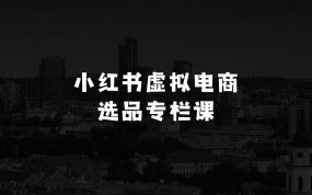 小本生意怎么做：小红书虚拟电商选品专栏课解锁选品成功秘诀