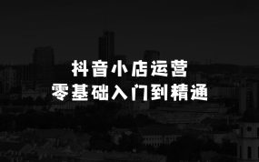 抖音小店运营零基础入门到精通全套精细化教程，实操易懂，落地版