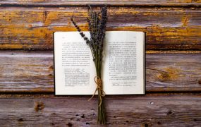 ﻿现在小本生意做什么好