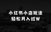 小本生意来钱快的偏门赚钱路子：小红书小店新玩法，蹭这个IP带货，小白也能轻松月入过W【揭秘】