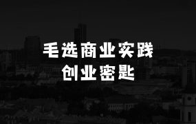 小本生意赚大钱：毛选商业实践论，读透《毛选》掌握创业必胜密匙