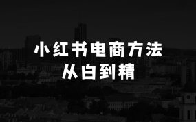 比打工强的小本生意：小红书电商实战方法，让你从小白到精英，保姆级教程