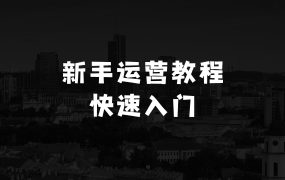 小本生意做什么好赚钱快不累呢：独立站新手入门体系化运营教程，助力独立站卖家从01快速入门!