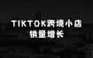 小本生意创业项目：TikTok跨境小店运营全攻略，帮助你独立运营TK跨境小店的能力，实现销量增长