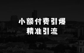 小额付费引爆300+精准创业粉，零剪辑、零复杂起号，话术撬动被动引流，当日实操即见成效