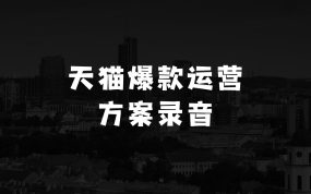 小本生意做点什么好挣钱：天猫电商爆款运营，可复制的爆款打造方案(线下内训课录音+字幕)