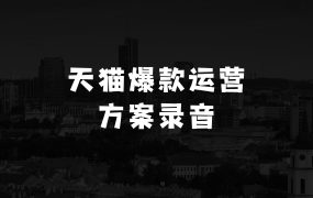 小本生意做点什么好挣钱:天猫电商爆款运营,可复制的爆款打造方案(线下内训课录音+字幕)