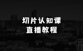 一个人适合做什么小生意的切片认知课+赠（资料包+送授权）直播切片教程
