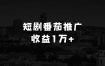 内向的人适合做什么生意的短剧推广拉新番茄锚点半月收益1万+大佬分享实操