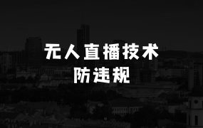 40岁女人做什么生意赚钱的无人直播撸音浪+随声波动画面技术+实时防违规+资料【揭秘】