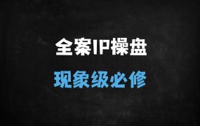 ﻿2025全案IP操盘手必修课：现象级IP打造与私域变现实战指南（无保留干货+深度培训）