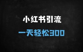 ﻿小红书引流实战指南：3大安全方法日引300+创业粉（附详细操作）