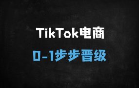 2025TikTokShop电商运营从0到1实战教程:零基础掌握全球流量变现全流程指南