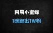 ﻿网易小蜜蜂涨粉实战：3账号单日破万粉+公众号引流1000+（附自动化工具与红利期玩法）
