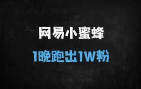 ﻿网易小蜜蜂涨粉实战：3账号单日破万粉+公众号引流1000+（附自动化工具与红利期玩法）