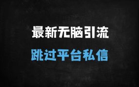 ﻿2025小红书最新无脑式引流秘籍：单日500+精准用户，突破私信风控实战教程