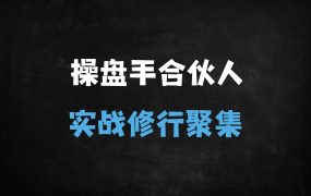 ﻿2025年全栈操盘手实战训练营：从IP打造到私域变现全流程系统课