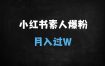 小红书素人高效涨粉秘籍：AI+精准定位日引500+，新手月入过万实战指南