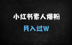 ﻿小红书素人高效涨粉秘籍：AI+精准定位日引500+，新手月入过万实战指南