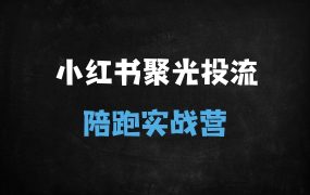 ﻿小红书聚光投流实战指南：精准引流+付费投流技巧，助你突破流量瓶颈