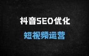 ﻿2025最新抖音SEO优化实战课：3天掌握搜索排名技巧，精准抢占10亿搜索流量