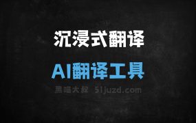 沉浸式翻译
