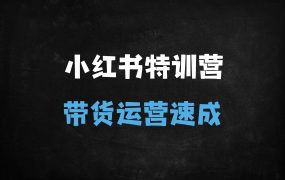 小红书电商直播与店铺运营实战指南:从选品到爆款打造的全链路优化策略