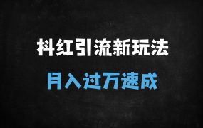 ﻿天涯神贴4.0信息差变现：抖音小红书流量秘籍，新手7天起号月入过万