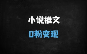 ﻿新手必看！蛋花小说推文0粉搬运变现指南：混剪实操全流程解析