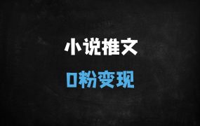 ﻿新手必看！蛋花小说推文0粉搬运变现指南：混剪实操全流程解析