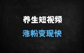 ﻿AI养生视频制作全攻略：15天涨粉8万+，新手日入2000+的变现秘籍（附保姆级教程）