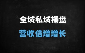 ﻿全域流量运营与私域变现实战：从个人IP打造到精准转化的系统课程