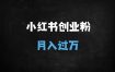 2025小红书创业粉引流实战攻略：单号日引500+，安全避坑指南【附完整SOP】