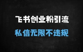﻿2025飞书高效引流秘籍：创业粉精准获客，私信无限不违规实战教程