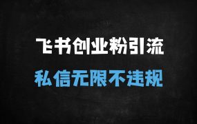 ﻿2025飞书高效引流秘籍：创业粉精准获客，私信无限不违规实战教程