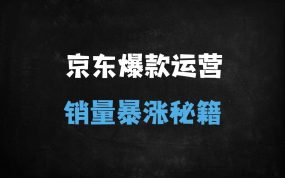 ﻿京东运营VIP课程：从入门到精通的爆款打造与流量暴涨实战指南