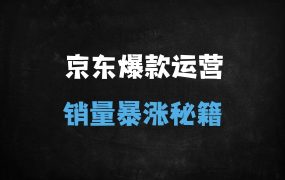 ﻿京东运营VIP课程：从入门到精通的爆款打造与流量暴涨实战指南